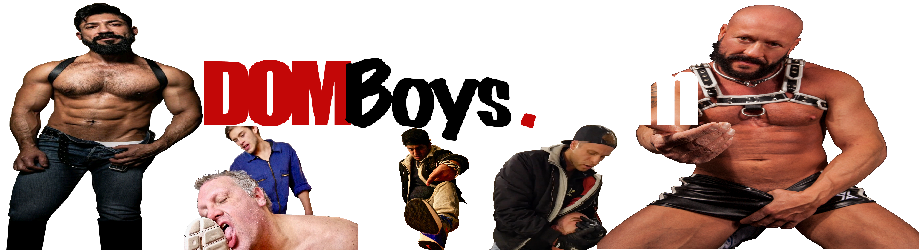 DomBoys.com banner transparentx